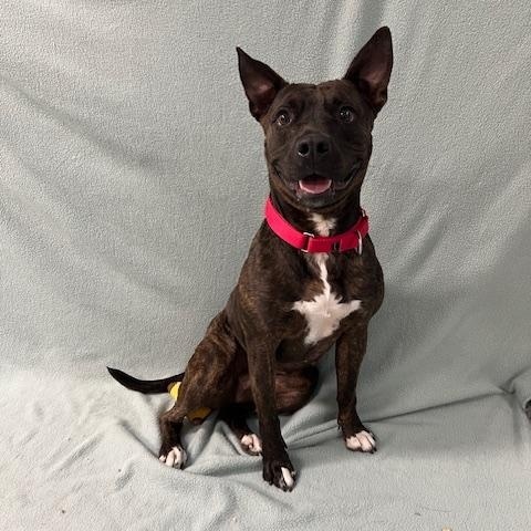 Ellie — thumbnail 6