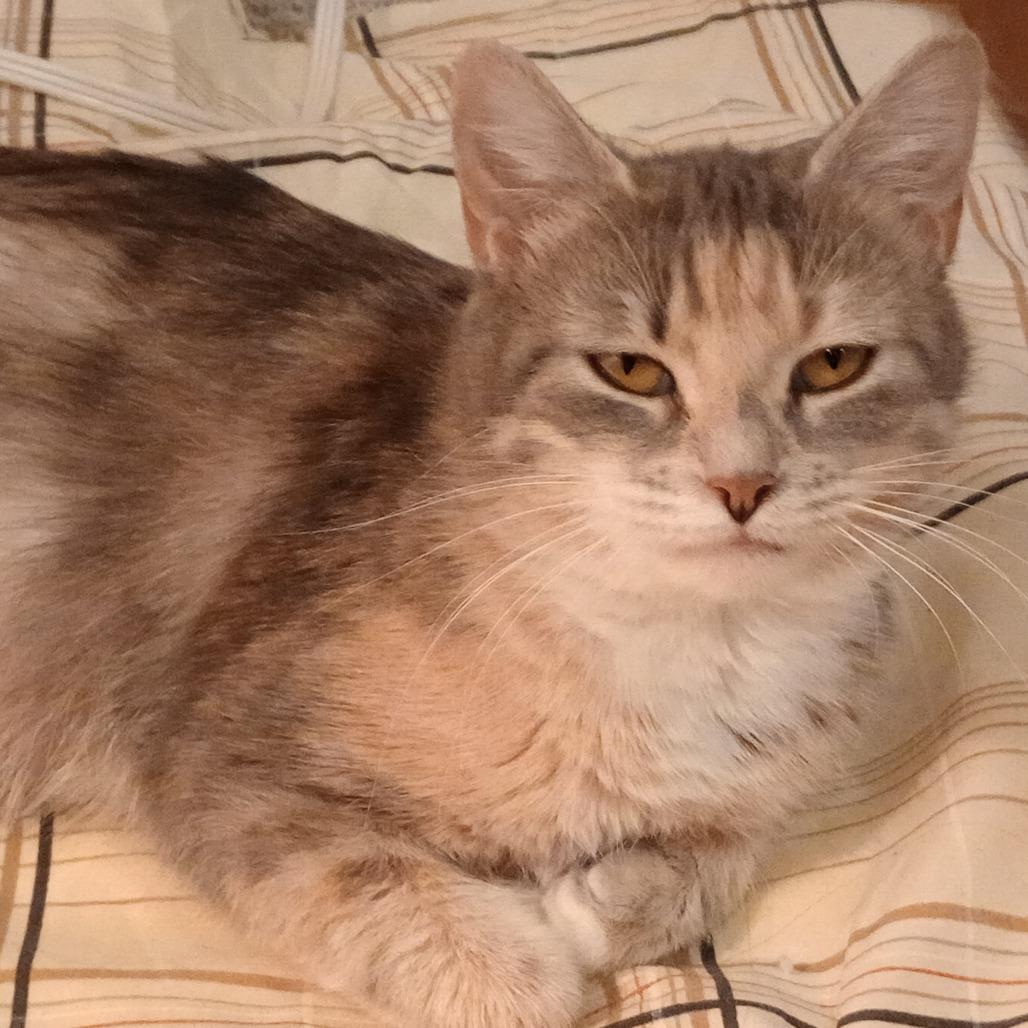 Lillie — thumbnail 4