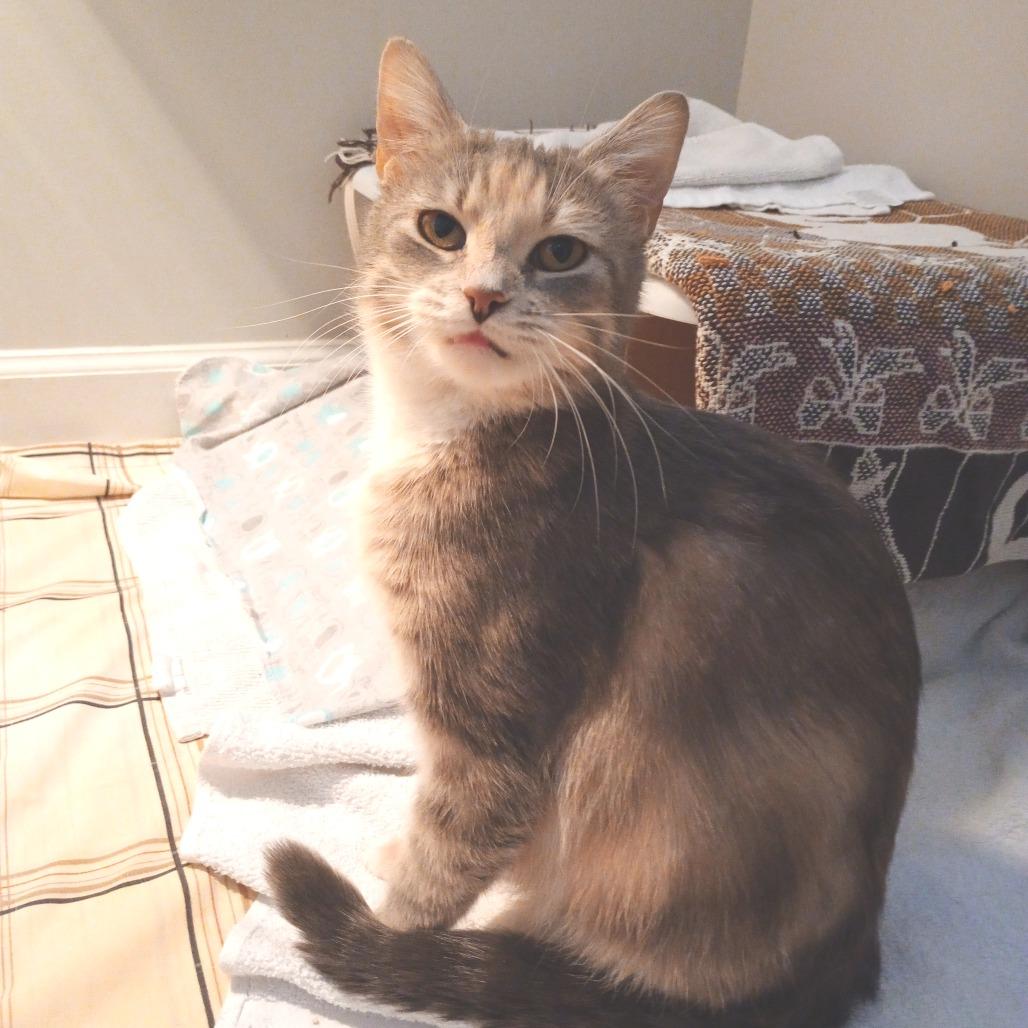 Lillie — thumbnail 5