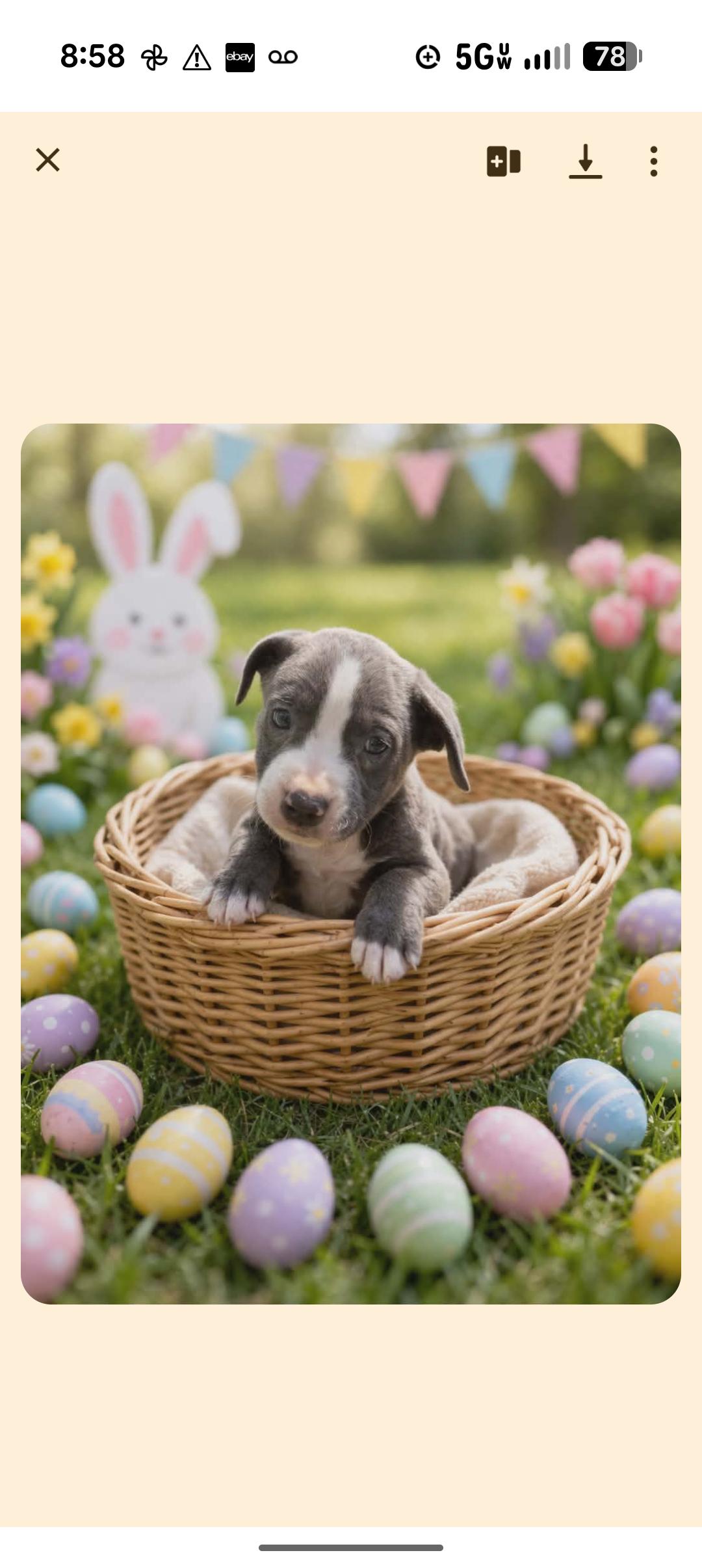 Enlarge BLUEY, an adopted mixed breed in Browns Mills, NJ image 1/2