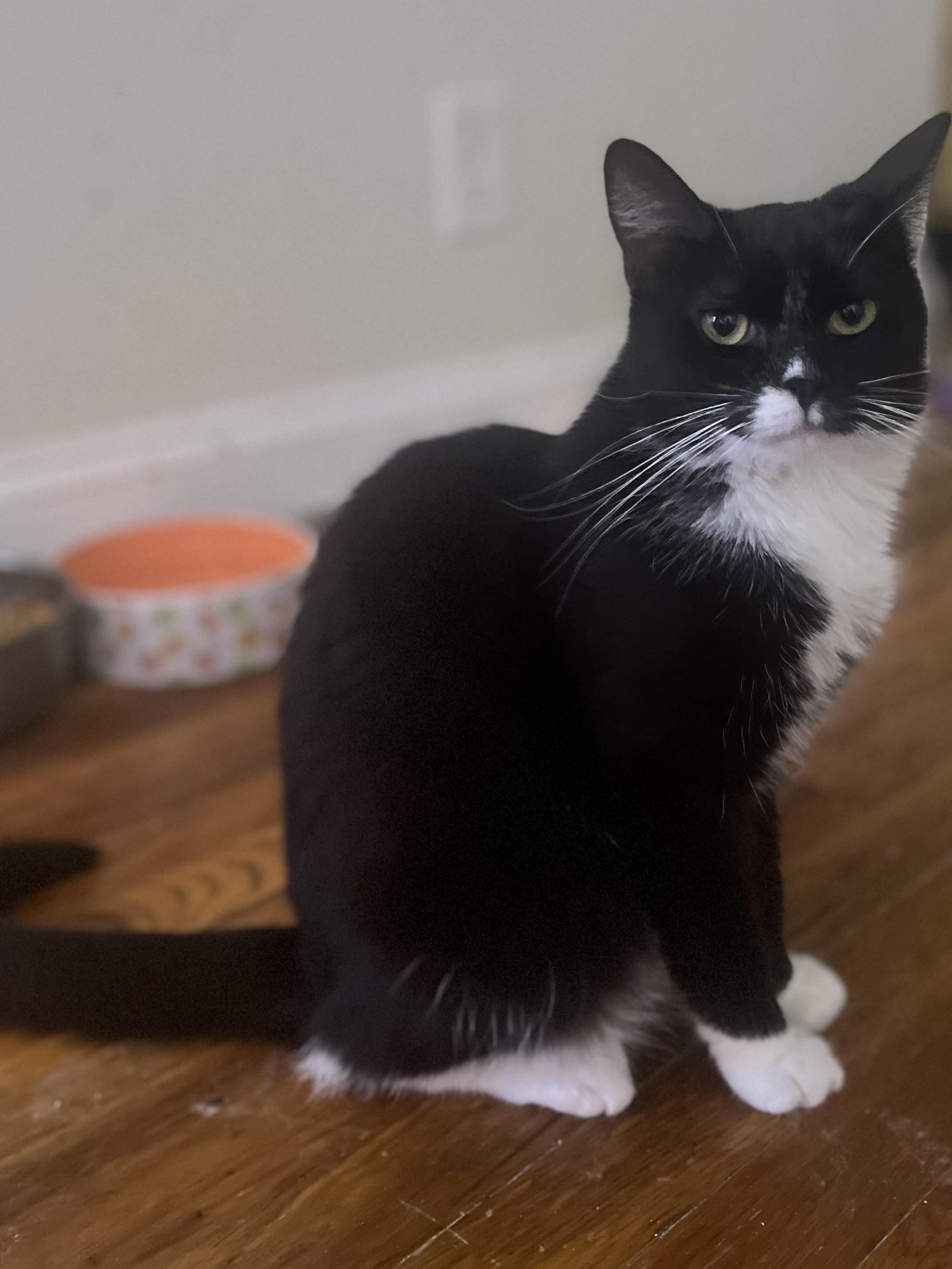 Danya 5