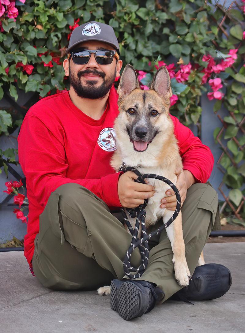 Enlarge Shyla von Sulza", a Adoptable mixed breed in Los Angeles, CA image 2/6