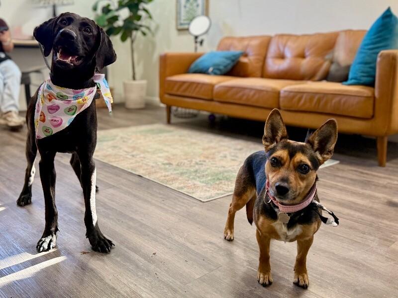 Toby Keith — thumbnail 2