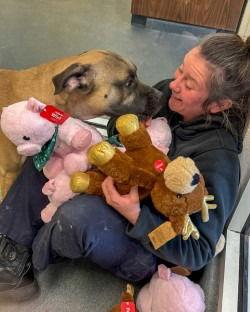 Da  Crush thumbnail 2