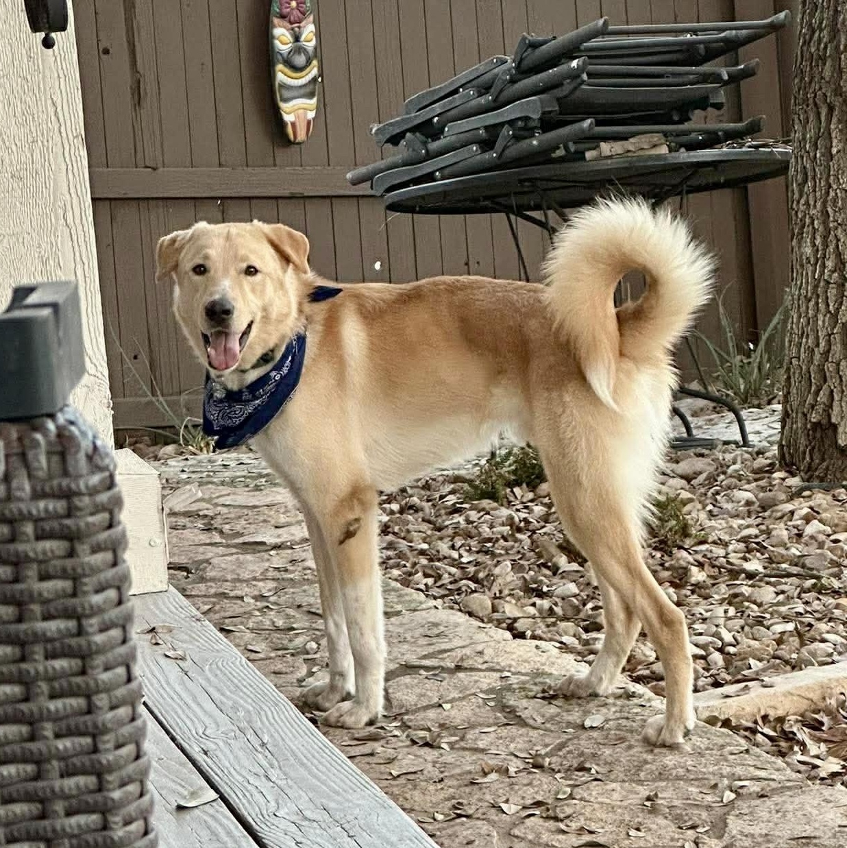 Cruz — thumbnail 3