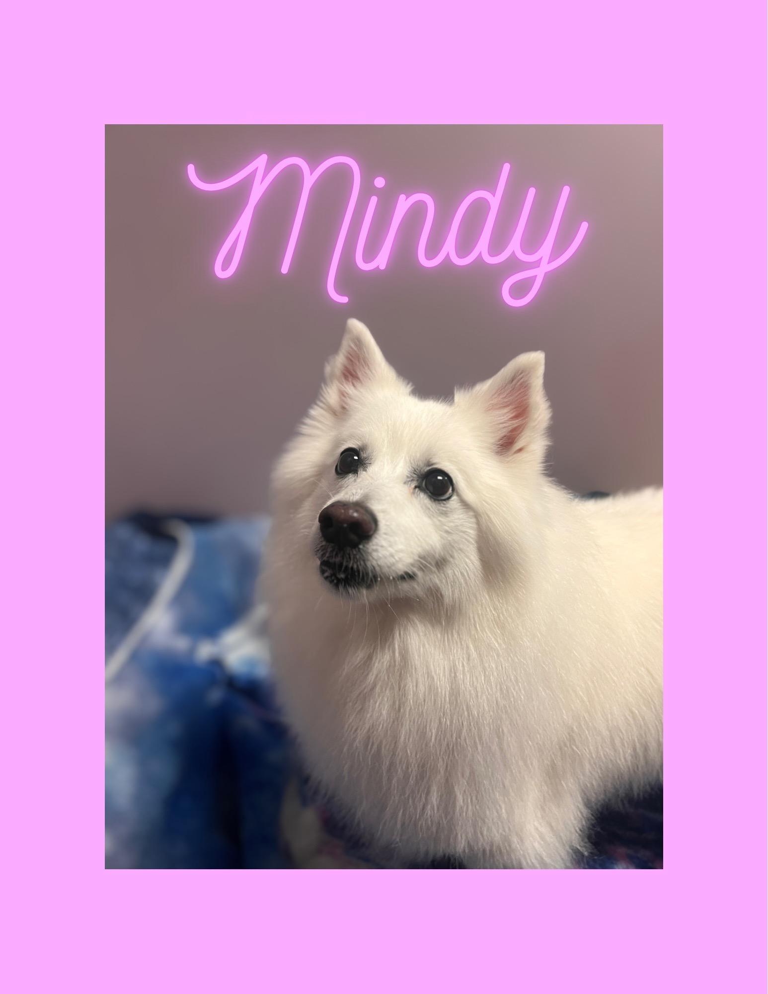 Mindy - Special Needs