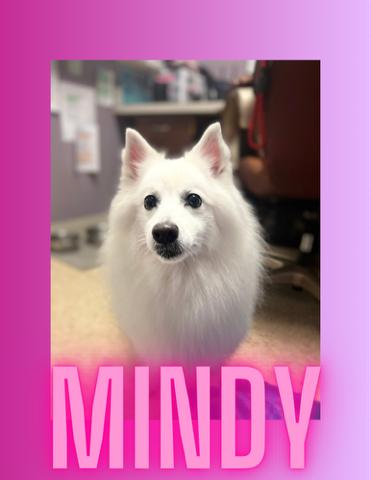 Mindy - Special Needs