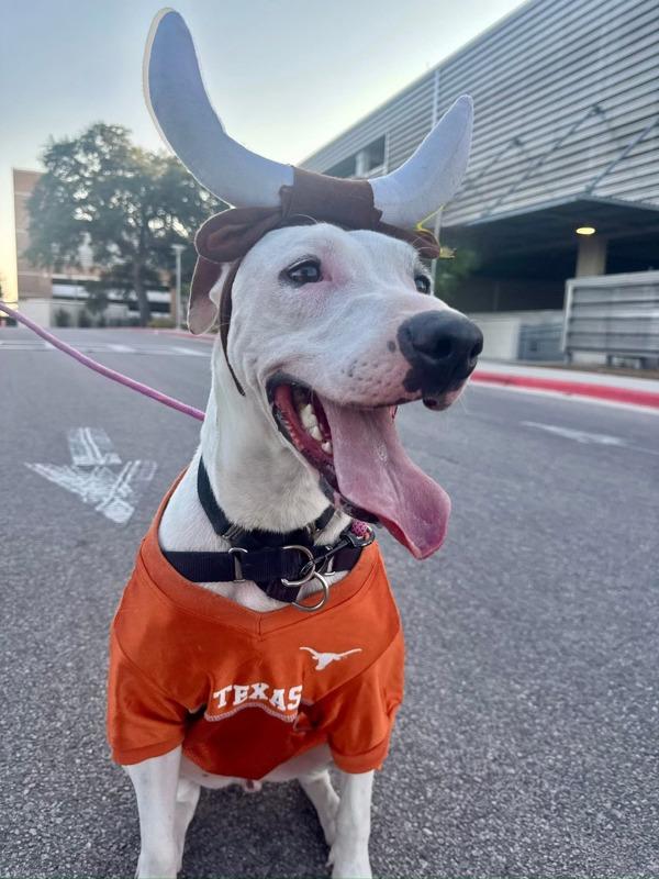 Schnucki thumbnail 3