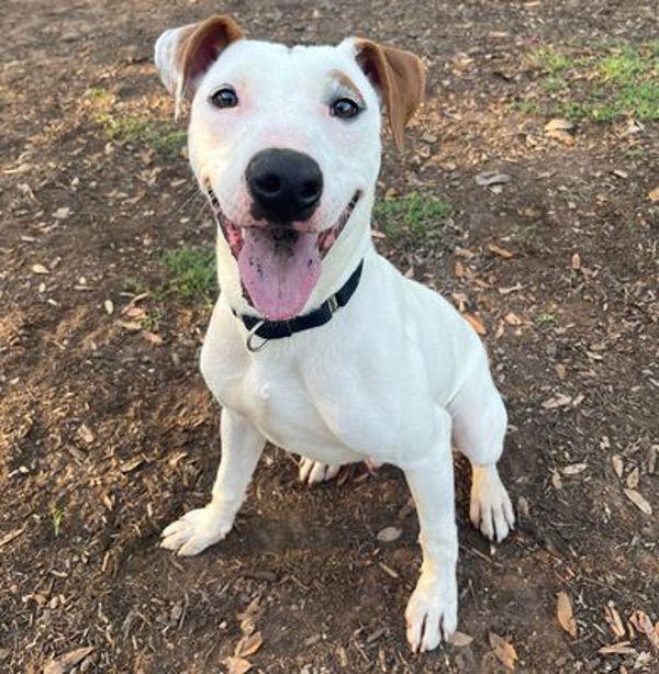 Schnucki thumbnail 5