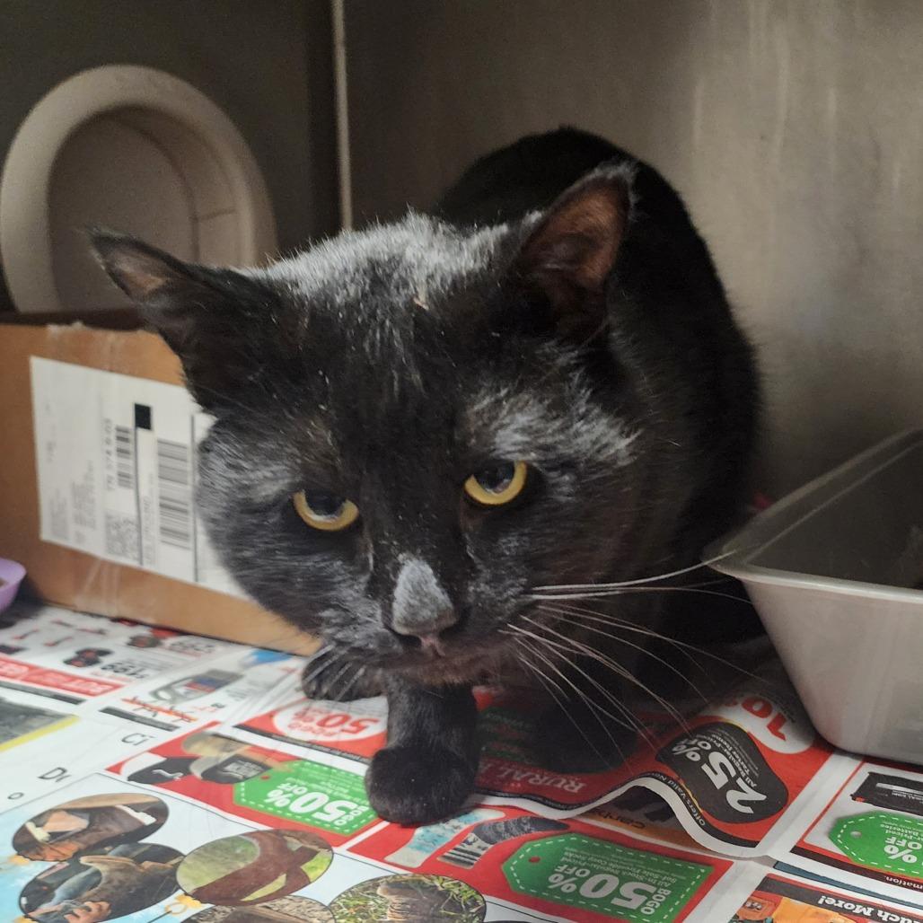 Jordan — thumbnail 3