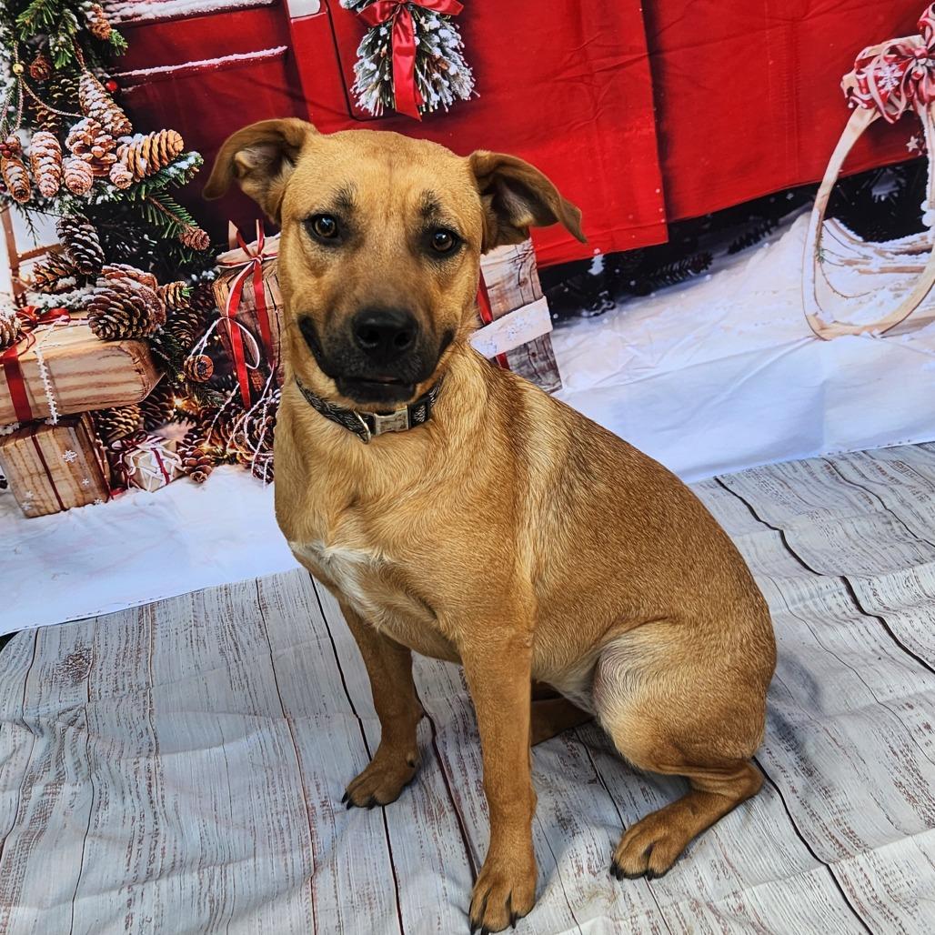 Brooke KA — thumbnail 3