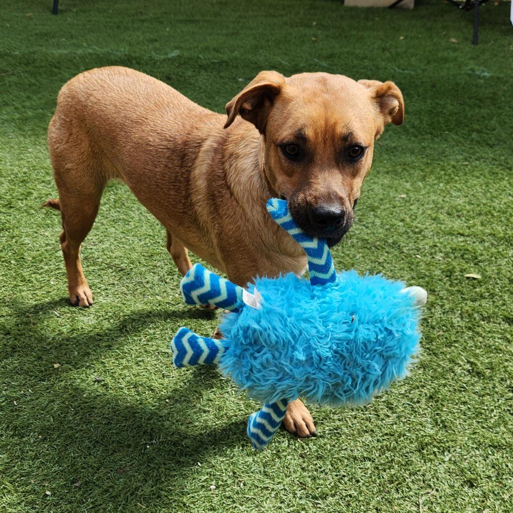 Brooke KA — thumbnail 4