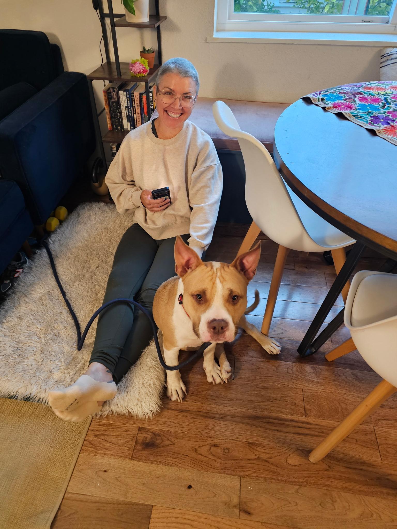 Biggie, a Adoptable Pit Bull Terrier in Olympia, WA image 1/6