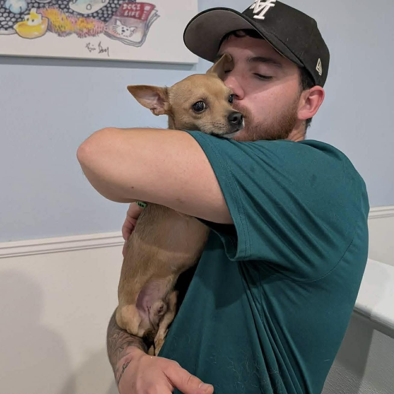 Enlarge Dexter, a ADOPTABLE Chihuahua in Boulder, CO image 5/6