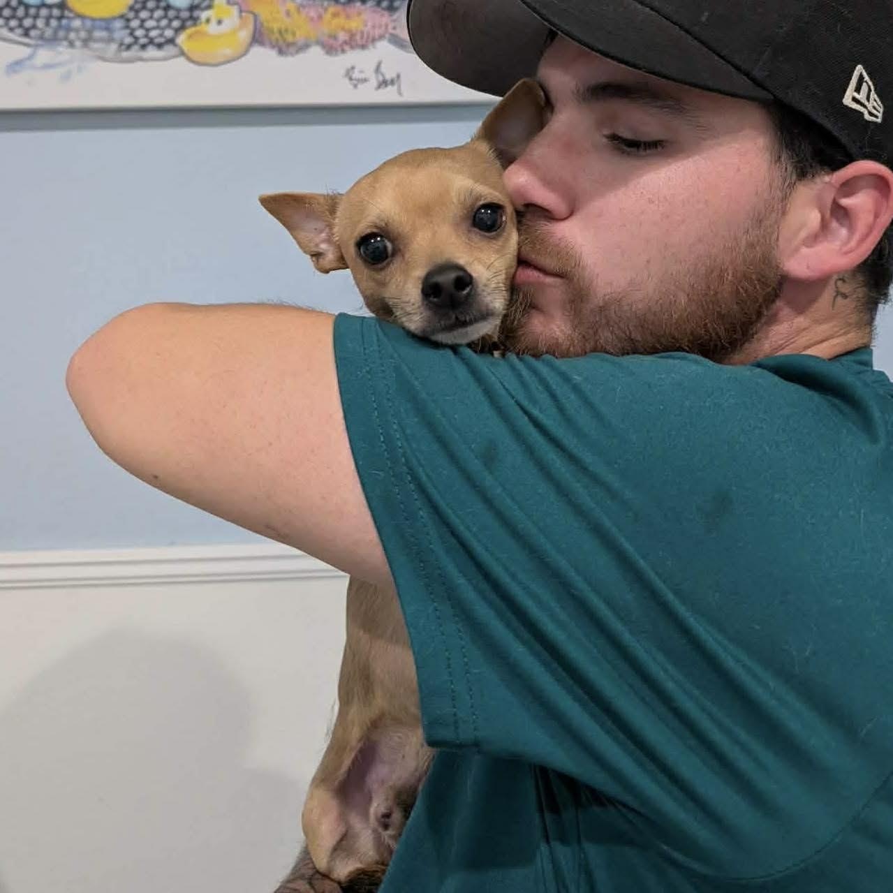 Enlarge Dexter, a ADOPTABLE Chihuahua in Boulder, CO image 2/6