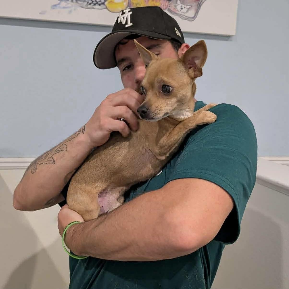 Enlarge Dexter, a ADOPTABLE Chihuahua in Boulder, CO image 4/6