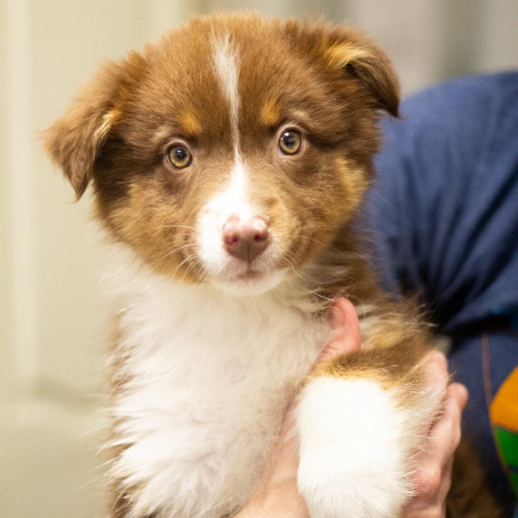 Aley 22033 — thumbnail 2