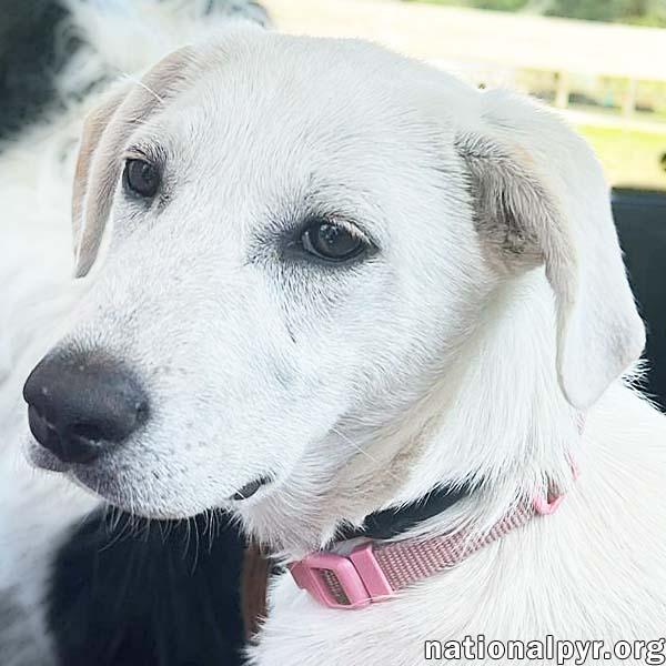 Abby in CT - Smart & Adventurous!