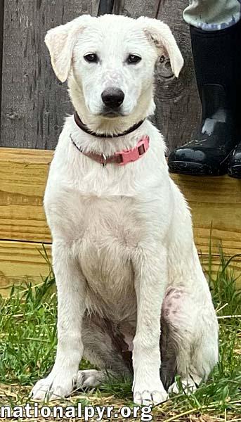 Abby in CT - Smart & Adventurous!