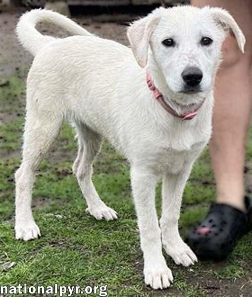 Abby in CT - Smart & Adventurous!