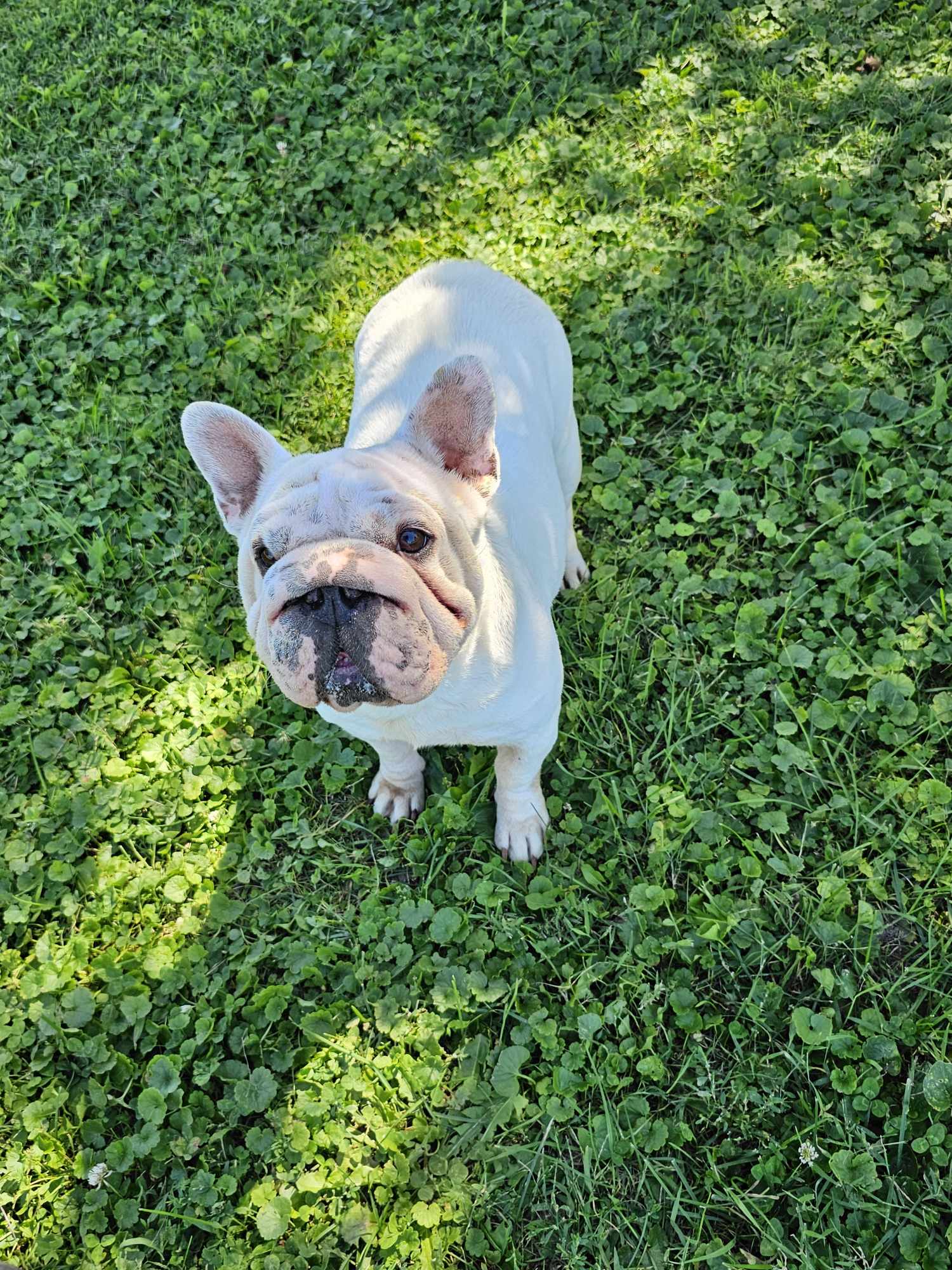 Caroline