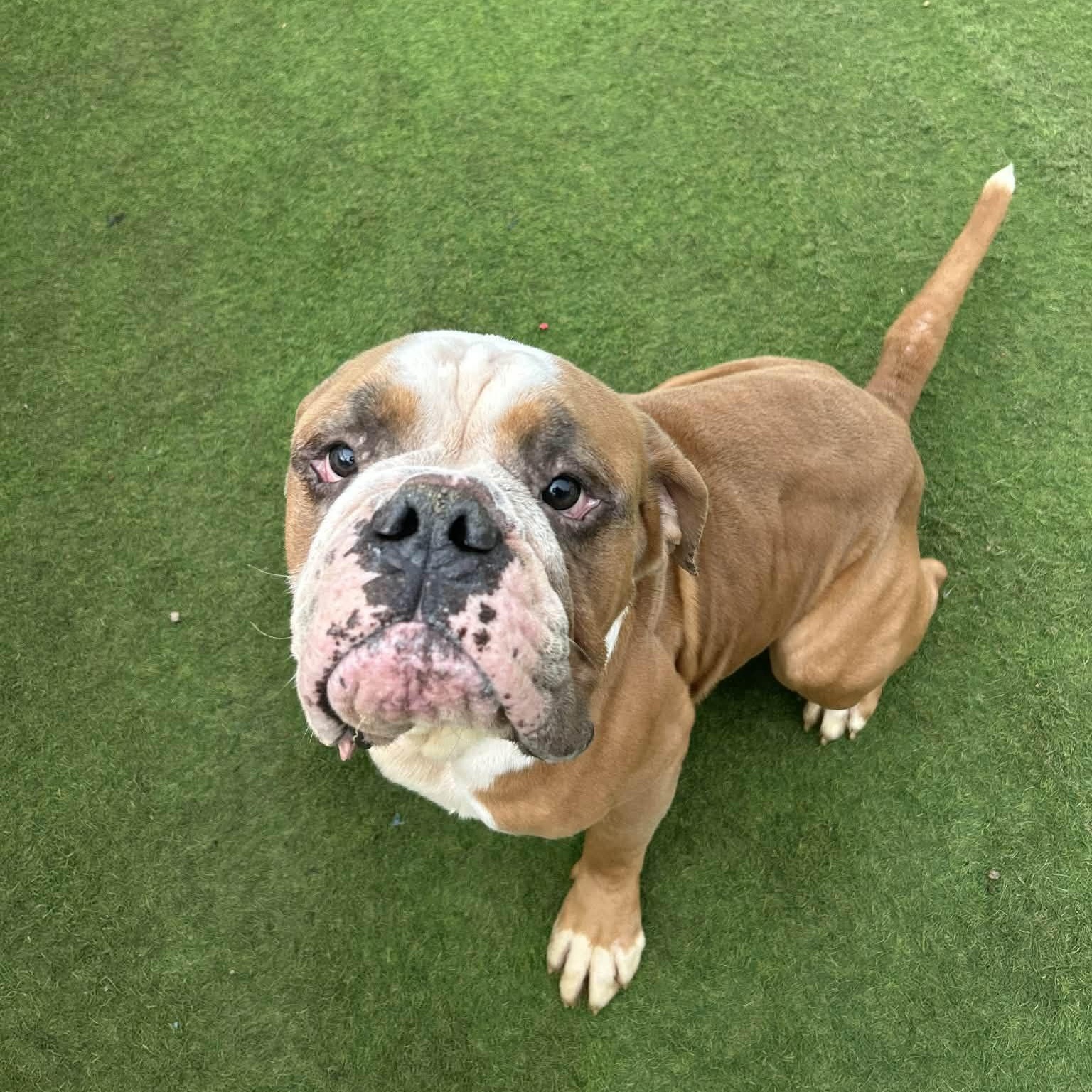 Sluggo — thumbnail 5