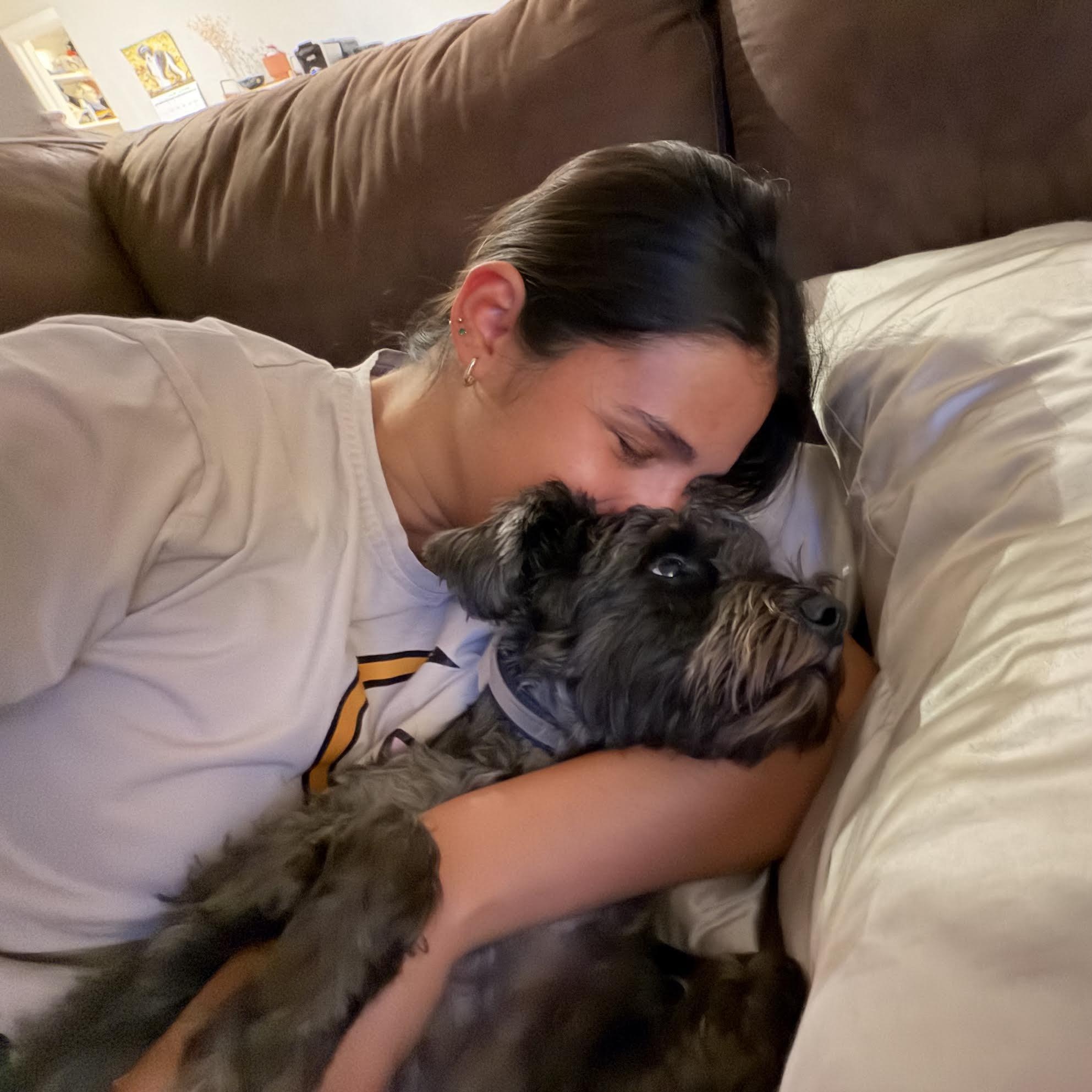 Enlarge Hemi, a Adopted Miniature Schnauzer in Boulder, CO image 4/6