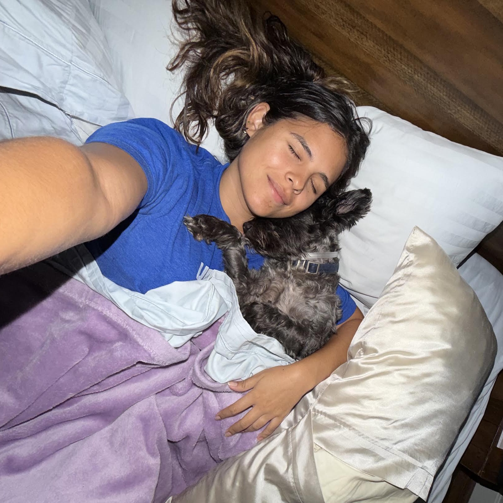 Enlarge Hemi, a Adopted Miniature Schnauzer in Boulder, CO image 2/6