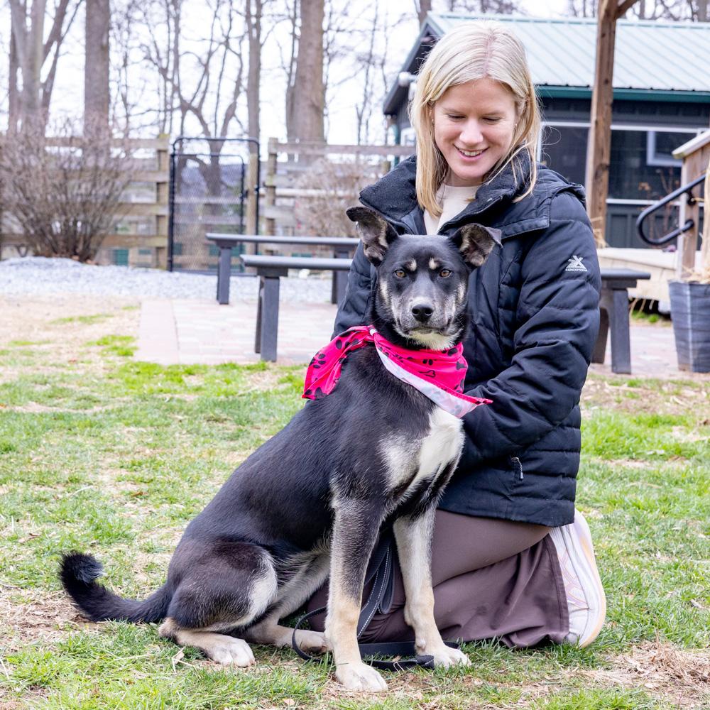 Enlarge Hannah (Female), a Adoptable mixed breed in West Grove, PA image 2/6