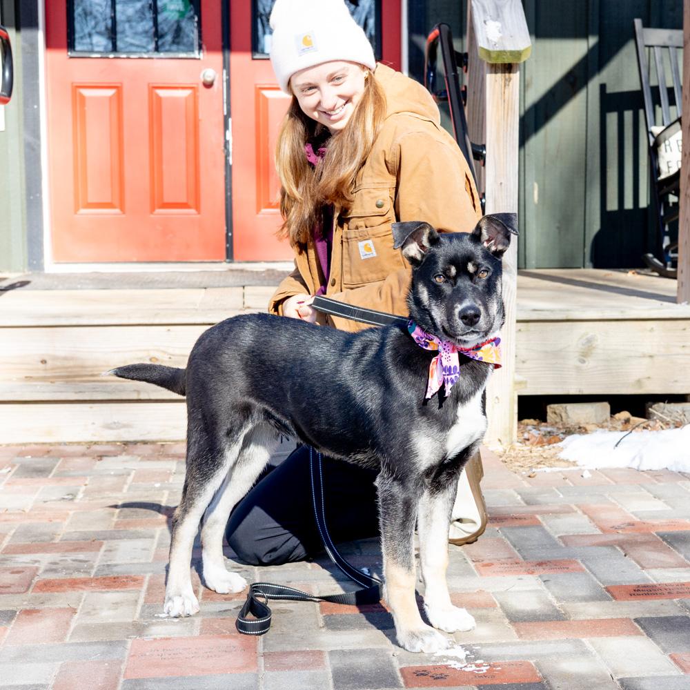 Hannah (Female), a Adoptable mixed breed in West Grove, PA image 2/6