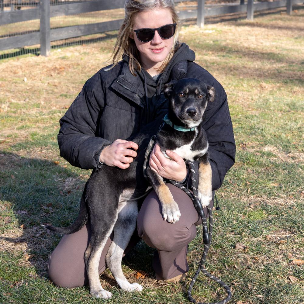 Enlarge Hannah (Female), a Adoptable mixed breed in West Grove, PA image 4/6