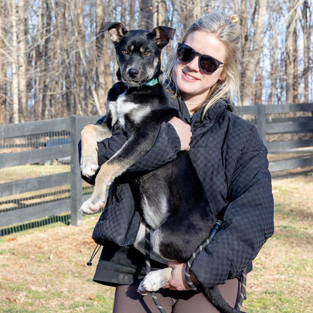 Enlarge Hannah (Female), a Adoptable mixed breed in West Grove, PA image 5/6