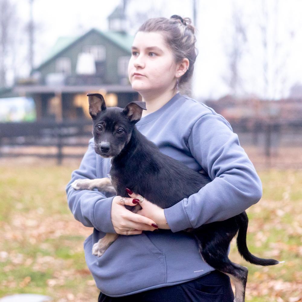 Enlarge Helena  (Female), a Adoptable mixed breed in West Grove, PA image 2/6