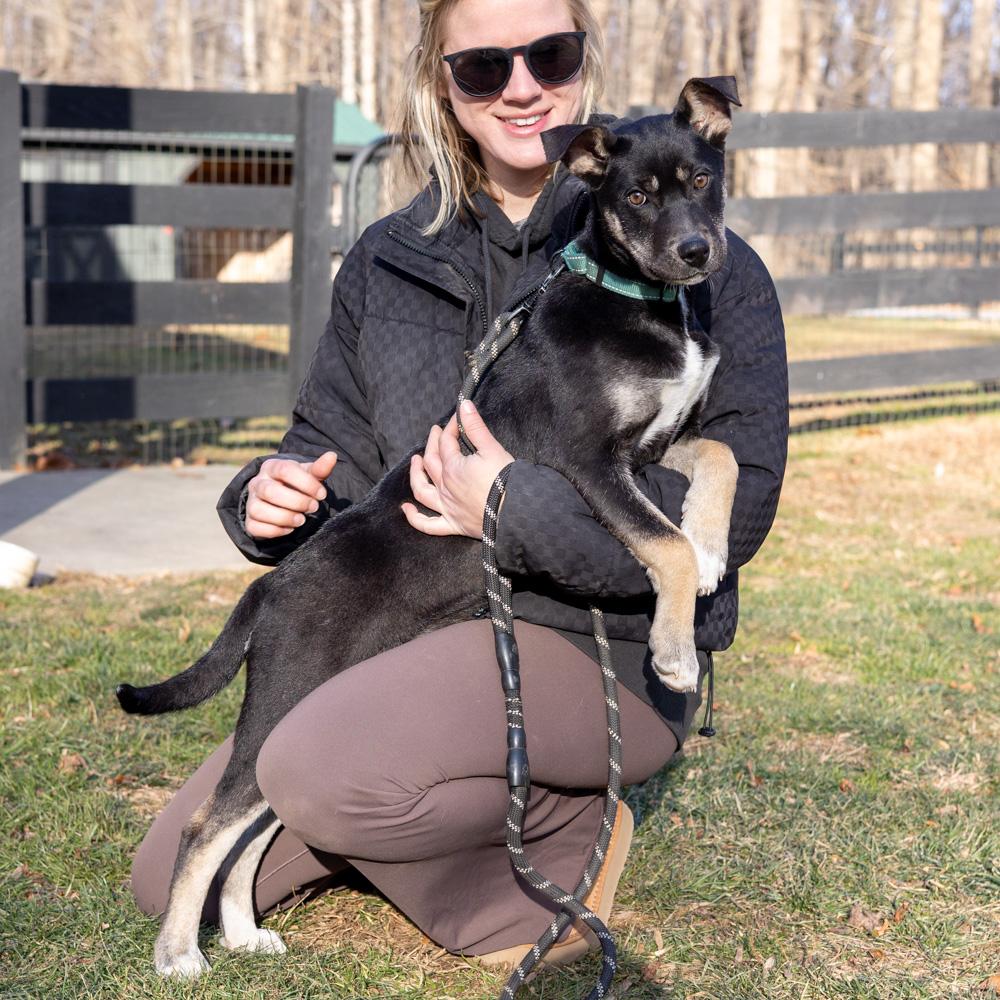 Enlarge Hannah (Female), a Adoptable mixed breed in West Grove, PA image 3/6