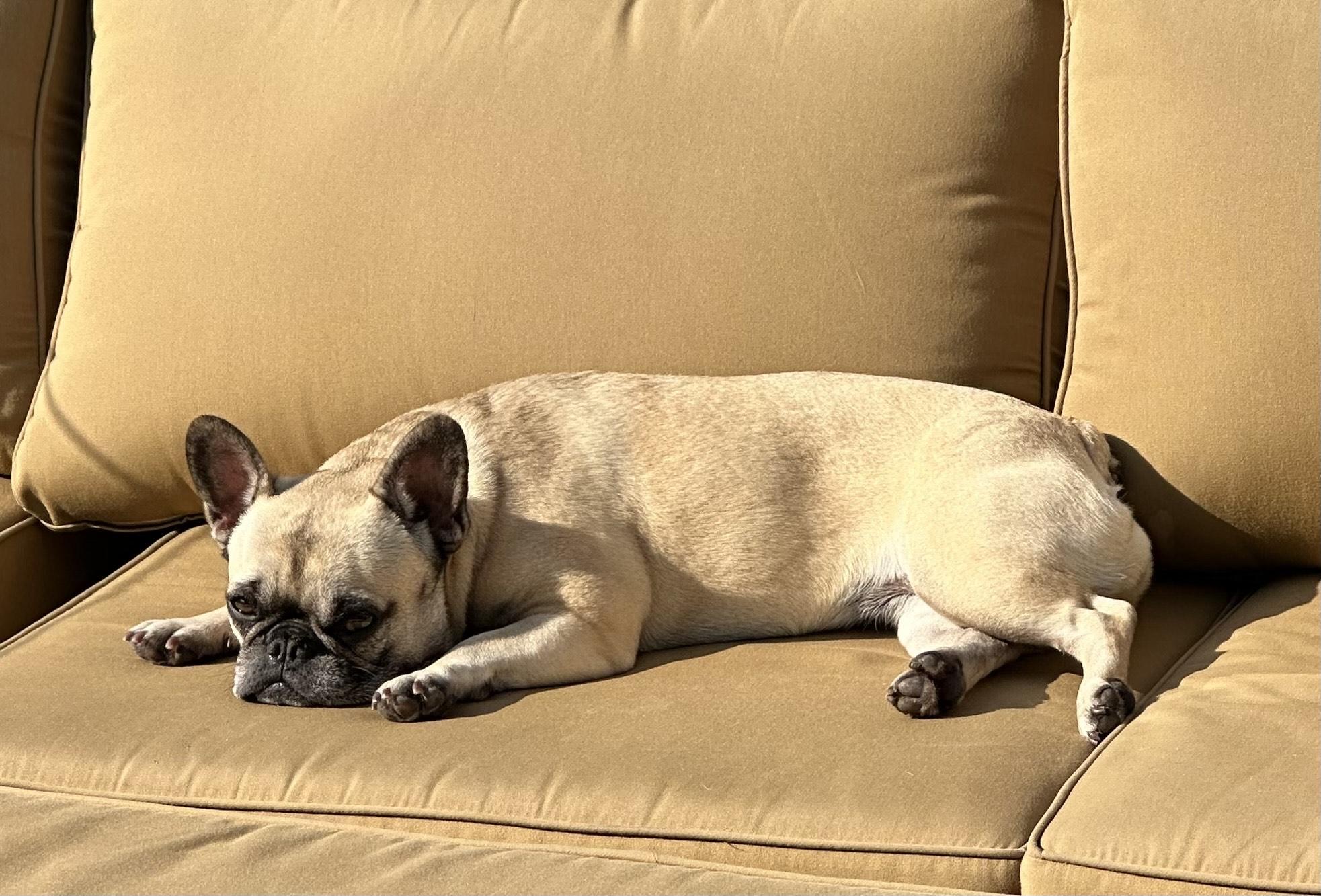 Lilo