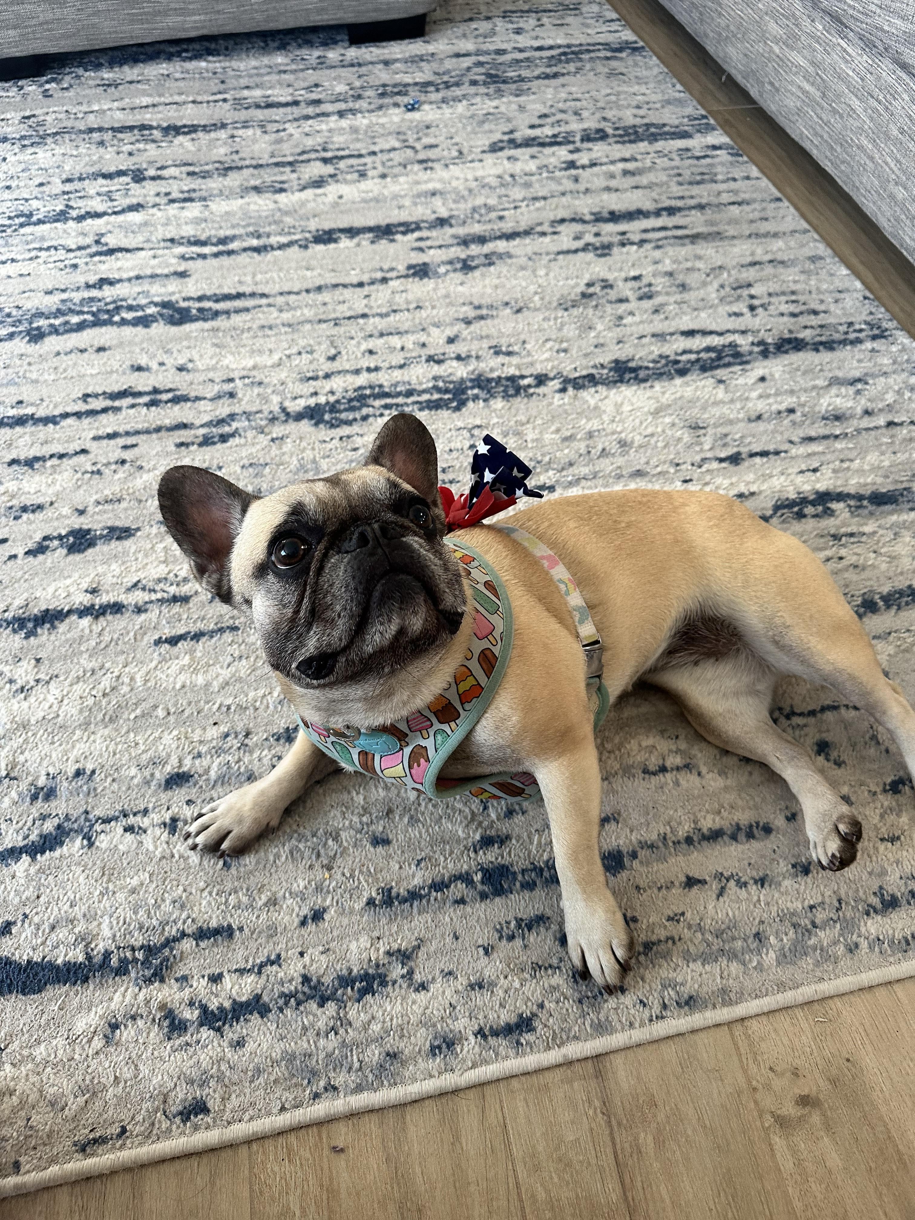 Lilo