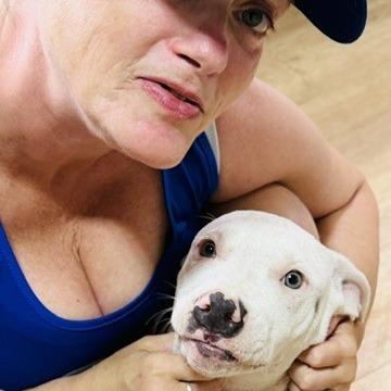 Doug prev. Silverado, a Adoptable Mixed Breed in Williston, FL image 3/4