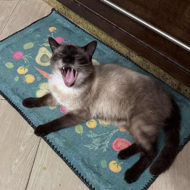 Samson