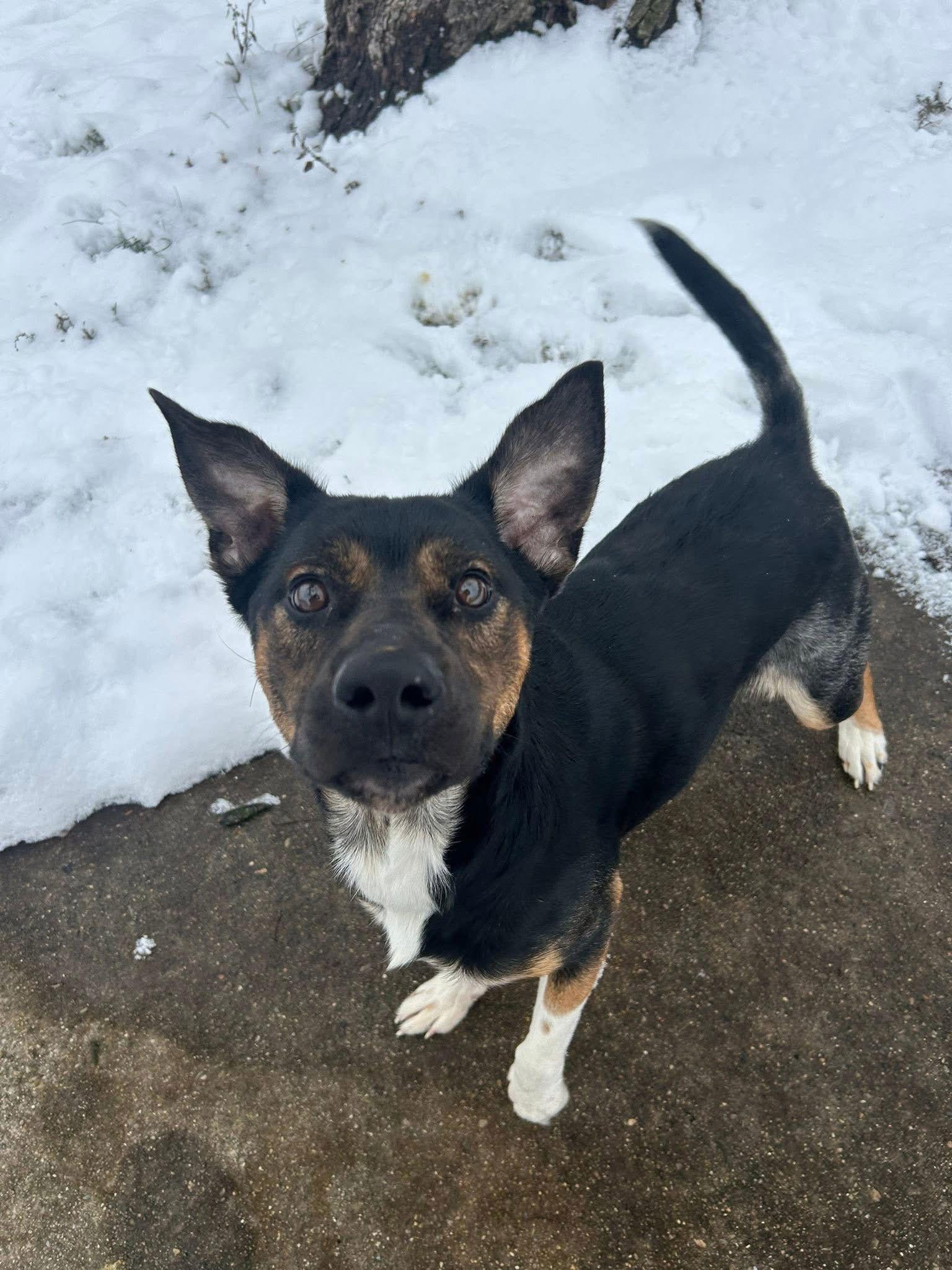 Mccallister thumbnail 2