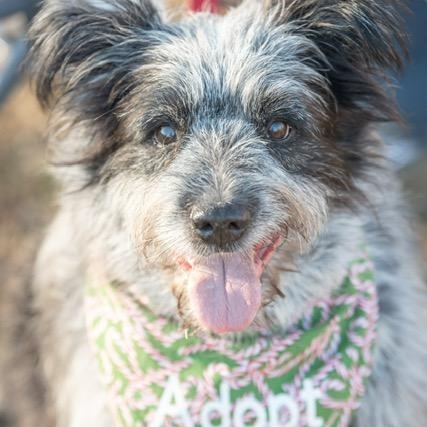 Minnow — thumbnail 3