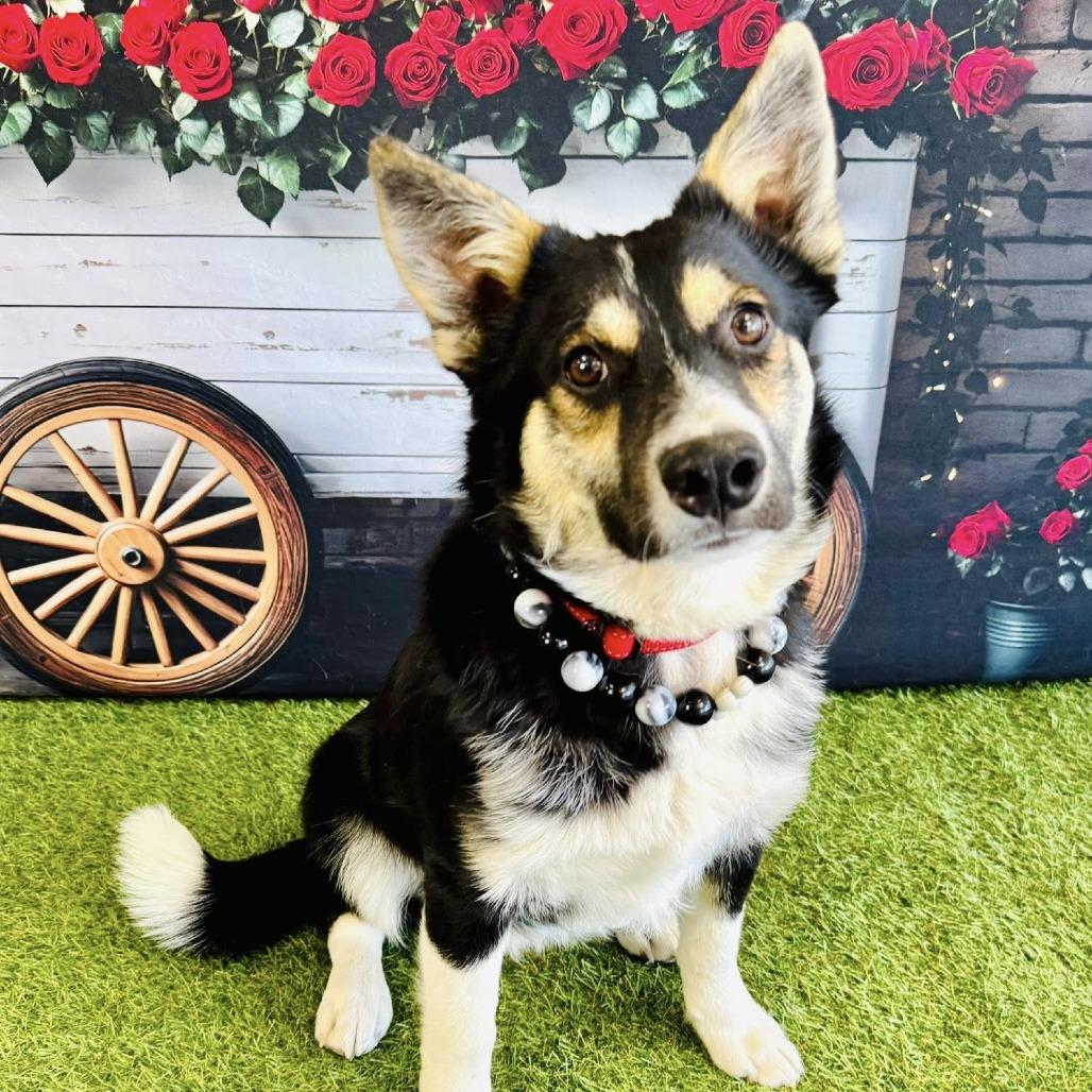 Kuura — thumbnail 2