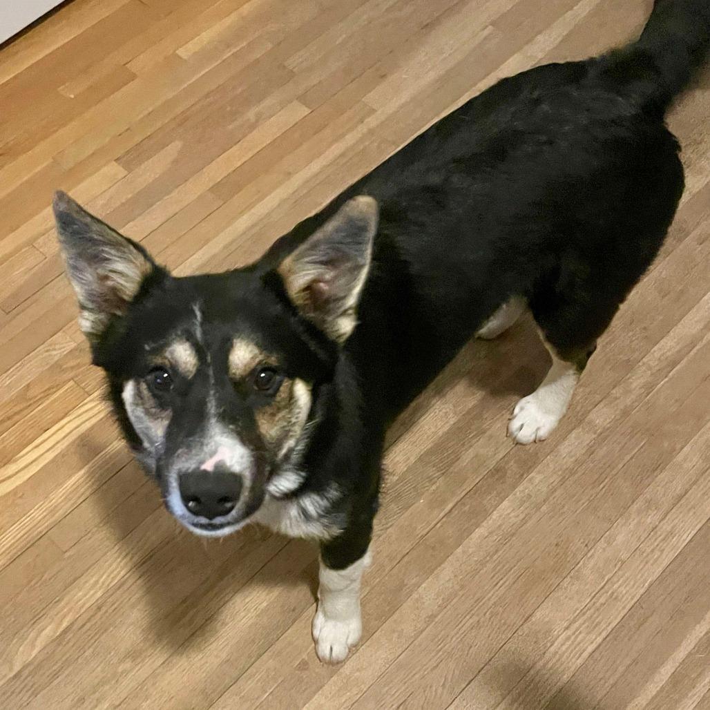 Kuura — thumbnail 4