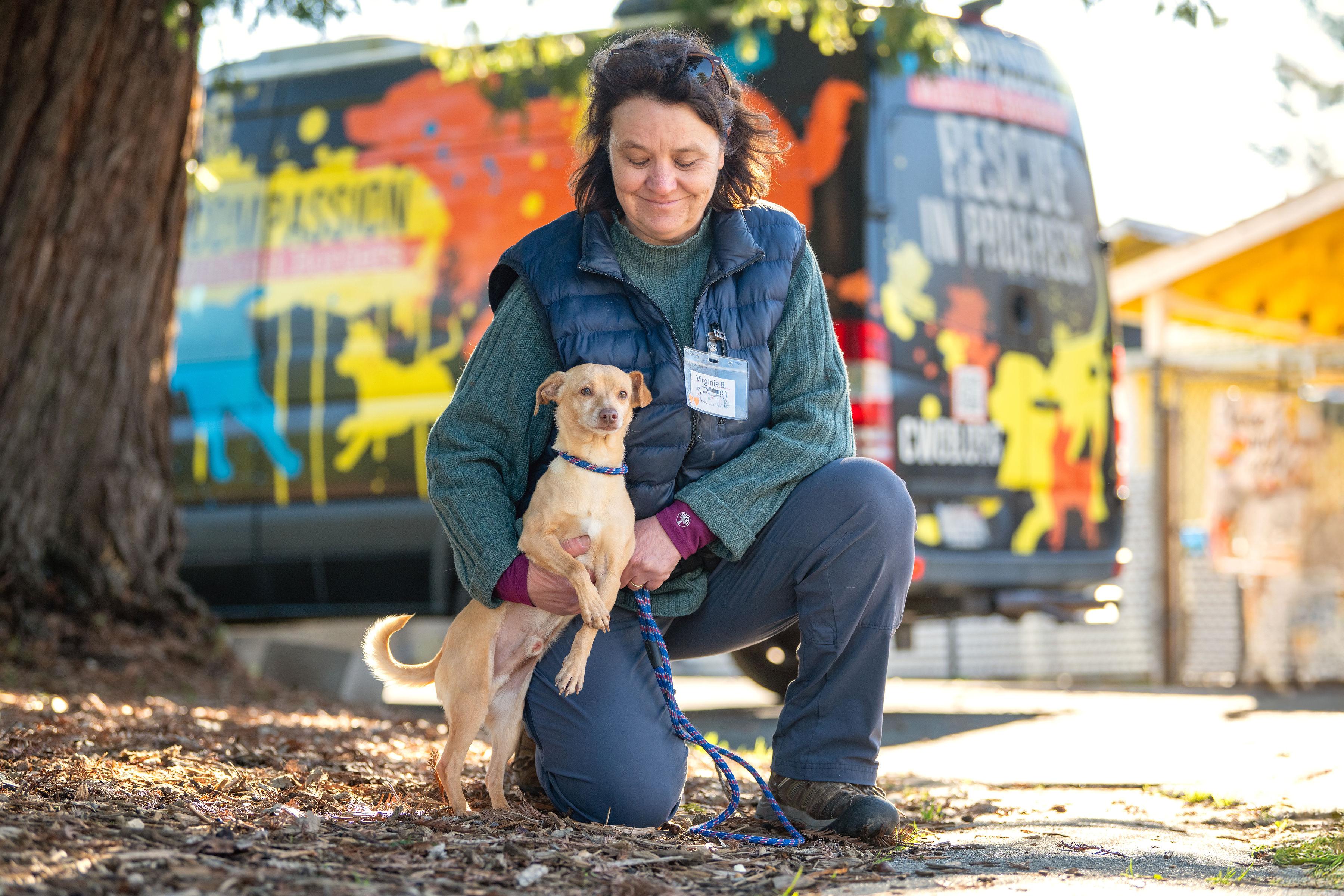 Enlarge Arthur, a ADOPTABLE mixed breed in Santa Rosa, CA image 3/4
