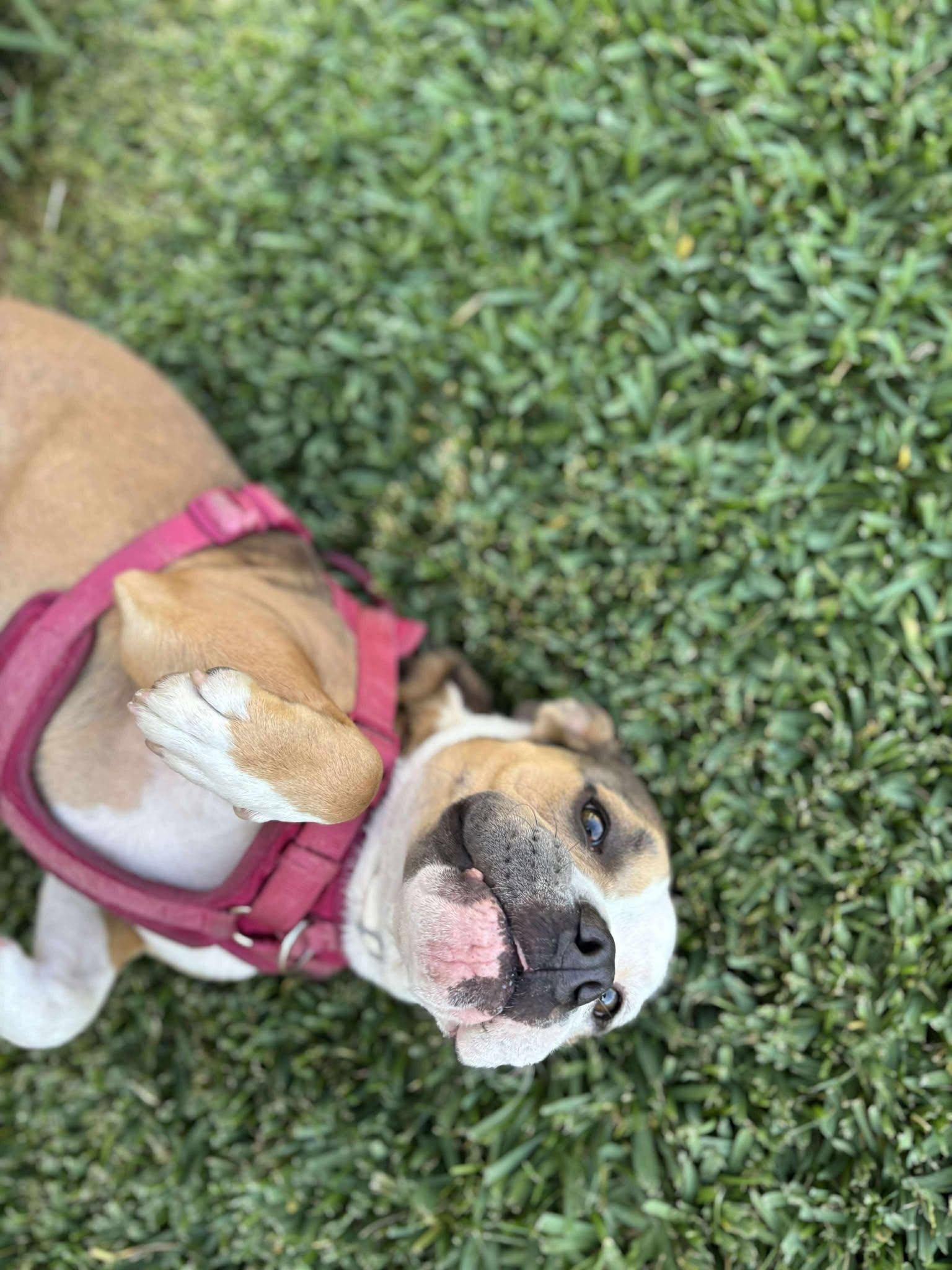 Lucy photo 5