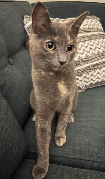Cherrie, Young Female unknown