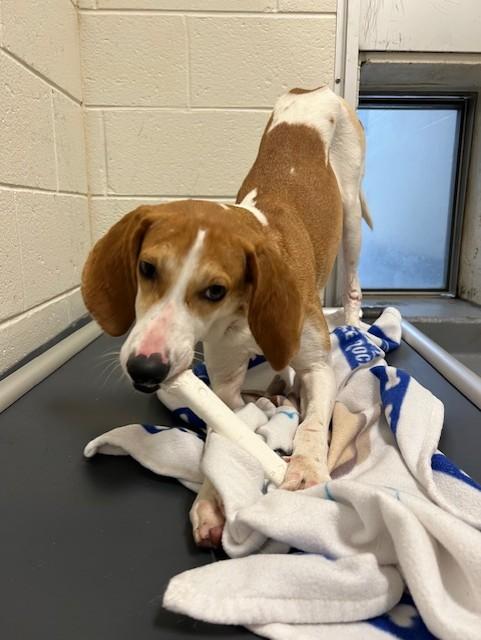 Betty — thumbnail 2