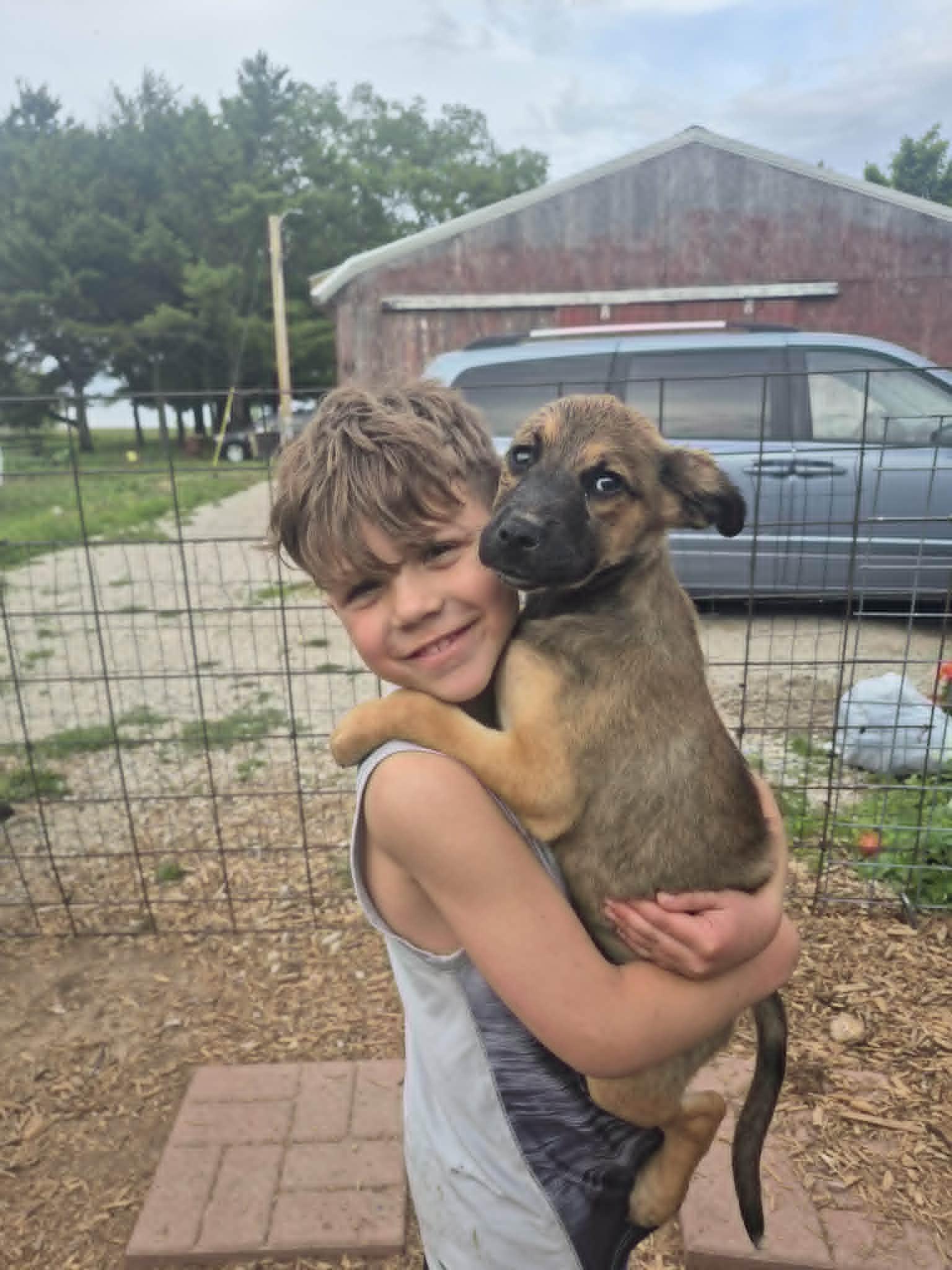 Enlarge Lenny, a ADOPTABLE mixed breed in Byron, IL image 5/5