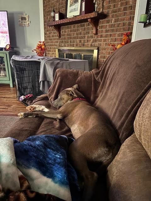 KALLIE