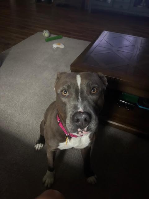 KALLIE