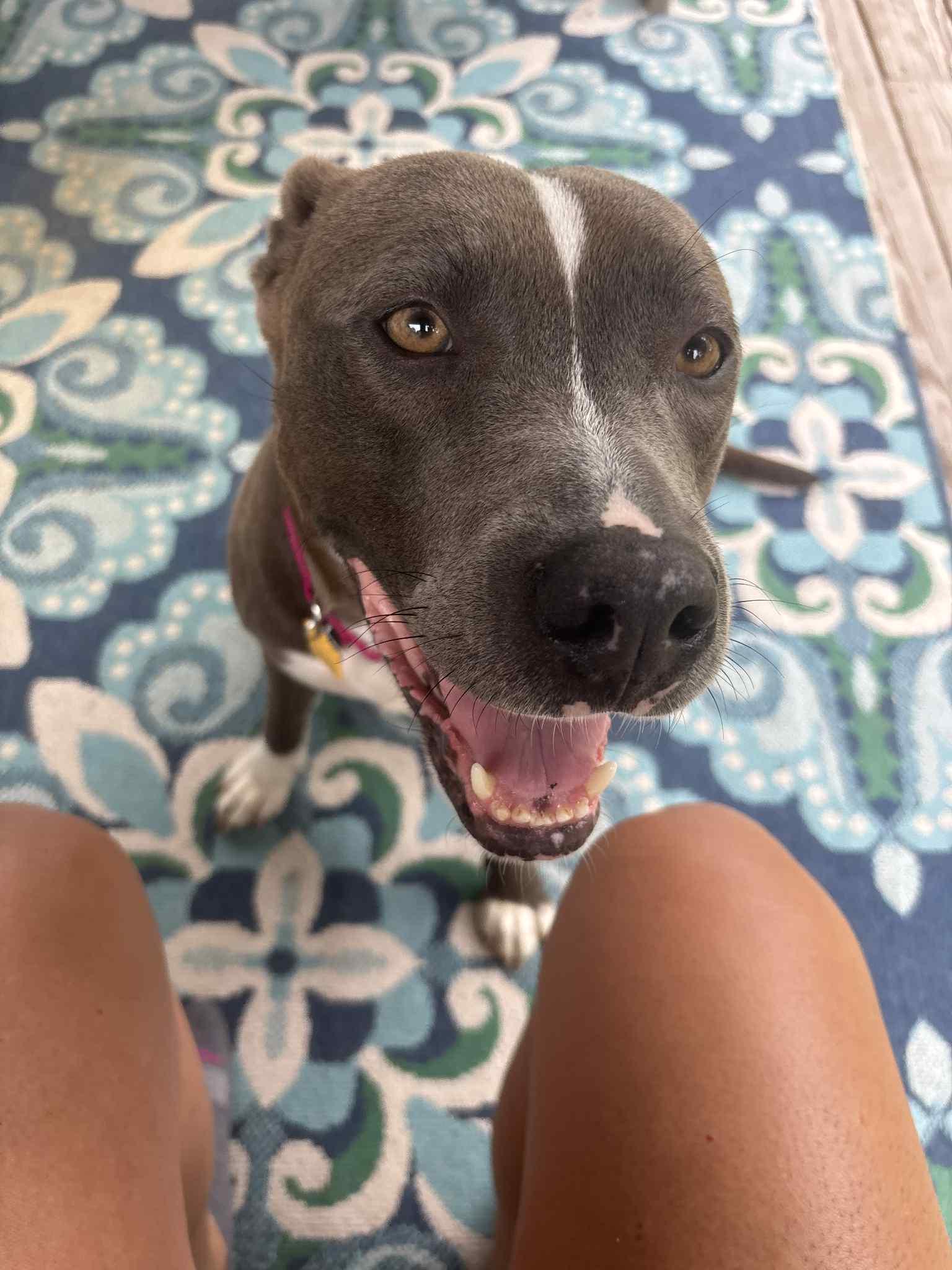 KALLIE
